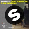 Can't Forget You (feat. The Nicholas) - Single