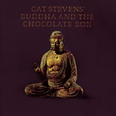 Buddha and the Chocolate Box artwork