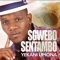 Ngiphamandla (feat. Bonakele) - Sgwebo Sentambo lyrics