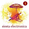 Siesta Electronica, Vol. 1