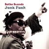 Junk Funk