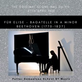 Für Elise - Bagatelle in A minor - Dynamic and tempo differences artwork