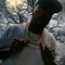 $tre$ the AR-15-Never Standing Still - Stres the AR-15 lyrics