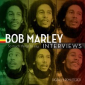 Bob Marley - Bob: Music And The Mission