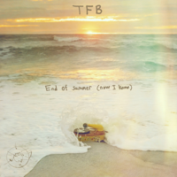 The Front Bottoms - End of summer (Now I Now) artwork