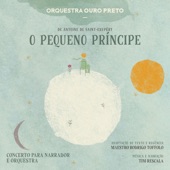 O Pequeno Príncipe artwork