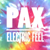 Electric Feel (Extended Mix) artwork