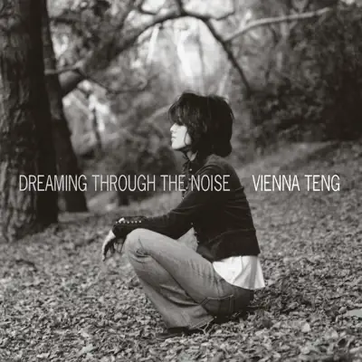 Dreaming Through The Noise - Vienna Teng