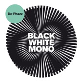 Black White Mono artwork