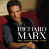 Richard Marx - Hold on to the Nights