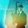 Seabreeze (feat. Enci Kiss) - Single