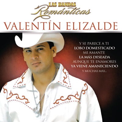 Para Que Olvidar - Valentín Elizalde | Shazam