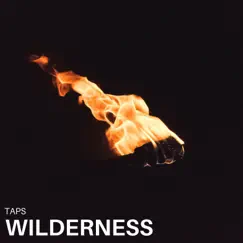 Wilderness - Single by Taps album reviews, ratings, credits