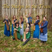 The Chant for the Trees artwork