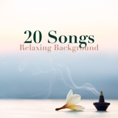 20 Songs - Relaxing Background: Calming Music for Stress Relief, Yoga, Spa, Massage, Meditation artwork
