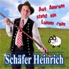 Auf Amrum steht ein Lamm rum - Single