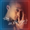 江映东 - In the Eyes