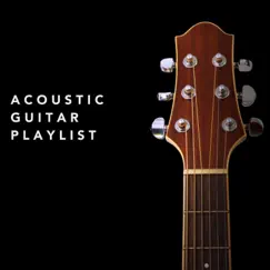 Acoustic Guitar Playlist by Various Artists album reviews, ratings, credits