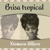 Brisa Tropical