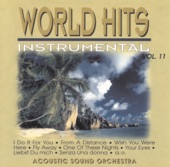 Acoustic Sound Orchestra - Ebony & Ivory