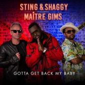 Gotta Get Back My Baby (feat. Maître Gims) artwork