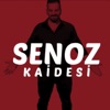 Senoz Kaidesi - Single