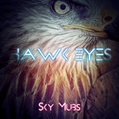 Hawk Eyes artwork