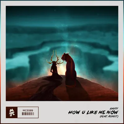 How U Like Me Now (feat. Roniit) - Single - Savoy