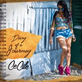 Diary of a Journey artwork