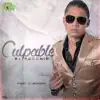 Stream & download Culpable - Single