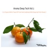 Aroma Deep Tech, Vol. 1 (25 Flavors With a Touch of Fruit and Combined With Deep and Tech House), 2013