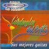 Sus Mejores Gaitas, 2004