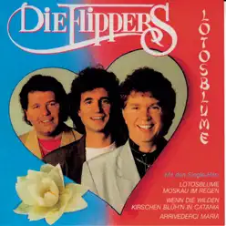 Lotosblume - Die Flippers Lotosblume - Die Flippers