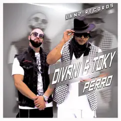 Perro - Single by Divani & Toky album reviews, ratings, credits