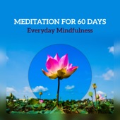 Meditation for 60 Days - Everyday Mindfulness, Beginner Training, Start Your Meditation Practice, Daily Focus for Few Minutes artwork