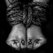 Burn the Witch - Shawn James lyrics