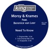 Need To Know (feat. Berenice van Leer) - Single