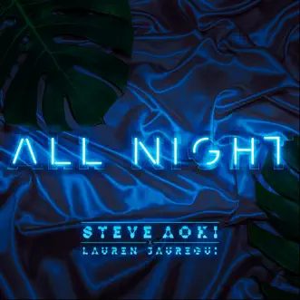 All Night by Steve Aoki & Lauren Jauregui song reviws