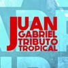 Juan Gabriel Tributo Tropical