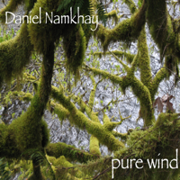 Daniel Namkhay - Pure Wind artwork