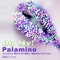Oh My! - Palamino lyrics