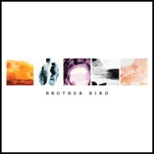 Brother Bird - Cloudy Collection