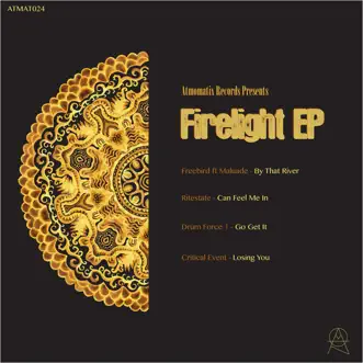 Firelight - EP by Freebird, Ritestate, Critical Event & Drum Force 1 album reviews, ratings, credits