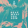 Reap What You Sow (feat. Royal Blu) - Single