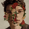 Shawn Mendes - Where Were You in the Morning?  artwork