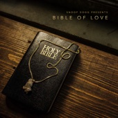 Snoop Dogg Presents Bible of Love artwork