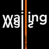 Wailing Walls - Single album lyrics, reviews, download