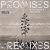 Promises (Remixes), 2018