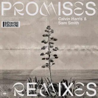 Promises (Remixes) by Calvin Harris, Sam Smith album reviews, ratings, credits