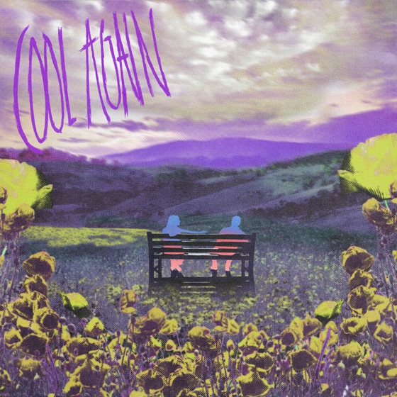 Cover artwork for Cool Again (Prince Fox Remix)